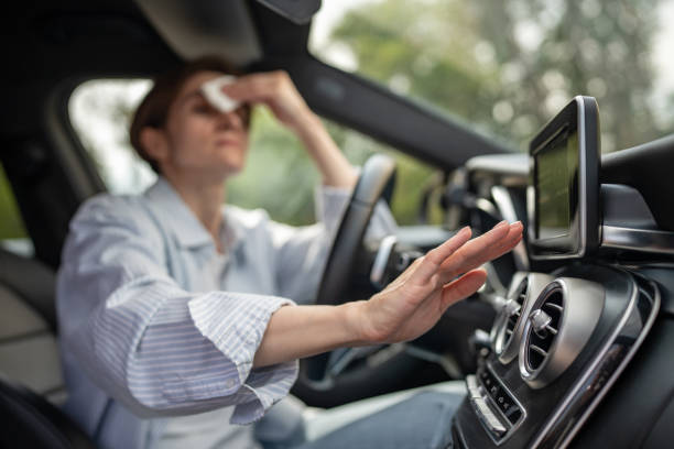 Best Thermostats and Smart Controls in Mosinee, WI